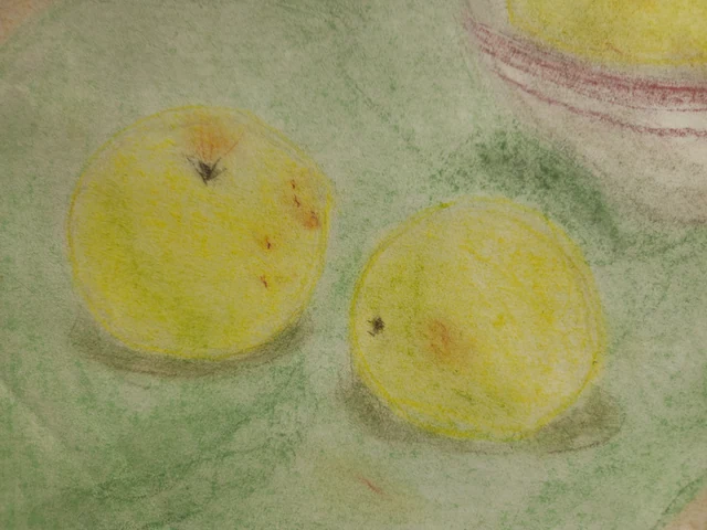 Close-up of two yellow-green fruits drawn in soft pastel on green paper
