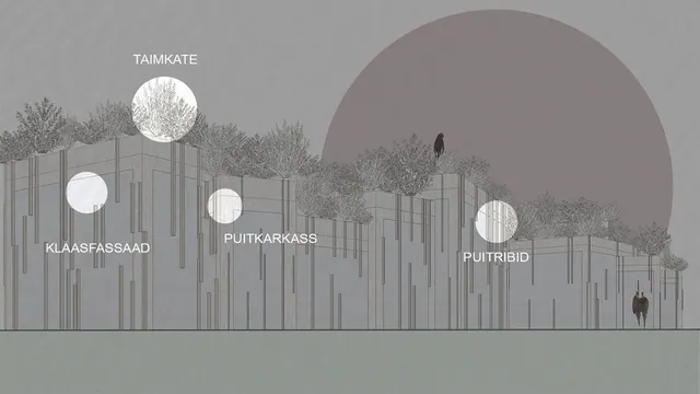 Kohad — Kontseptsioon